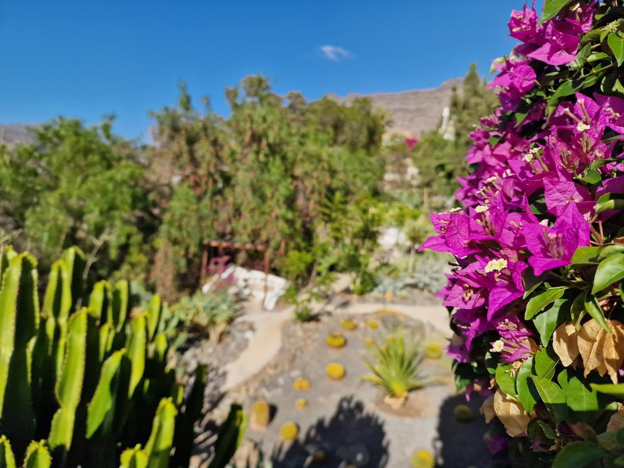 MogánHistorica Casa Con Vistas Al Jardin De Cactus Y Montanas别墅 外观 照片